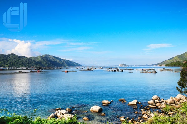 kinh nghiệm vinh vũng rô phú yên