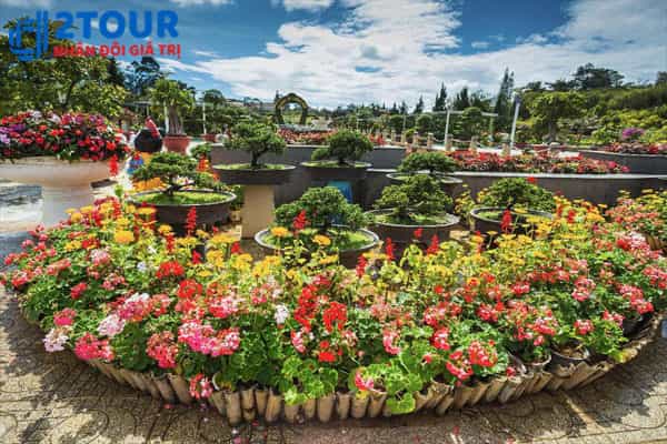 tour sài gòn đà lạt 3 ngày 2 đêm trọn gói